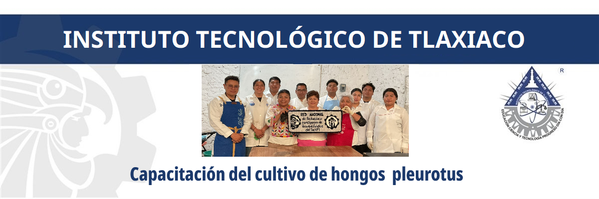 BANNER_HONGOS_PLEUROTUS